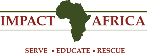 Impact Africa Logo 